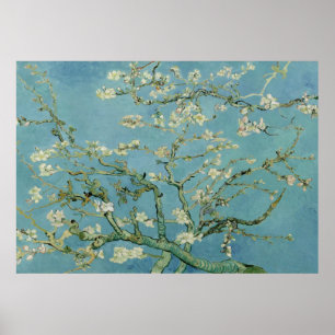 Almond blommar av Vincent Van Gogh Poster