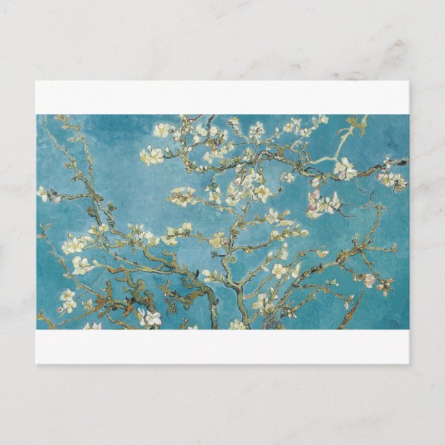 Almond Blommar av Vincent van Gogh Vykort (Framsida)