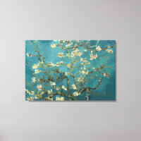 Almond Blommar Canvas