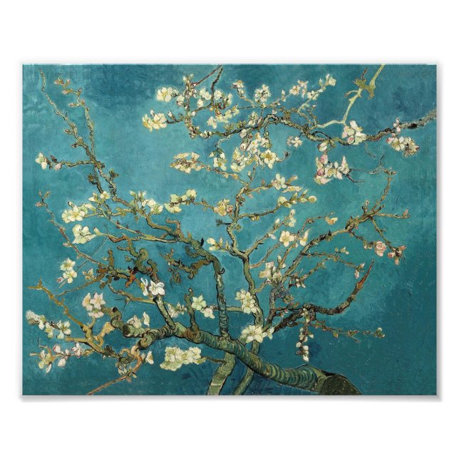 Almond Blommar Fototryck (Framsidan)