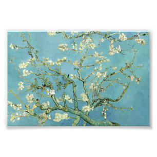 Almond Blommar från Van Gogh Fine Art Photo Prints Fototryck