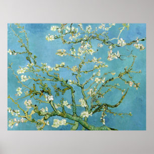 Almond Blommar Grenar (F671) Van Gogh Fine Art Poster