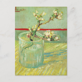 Almond Blommar Grenar i Glass Van Gogh Fine Art Vykort