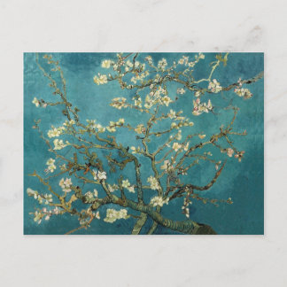 Almond Blommar Postcard Vykort
