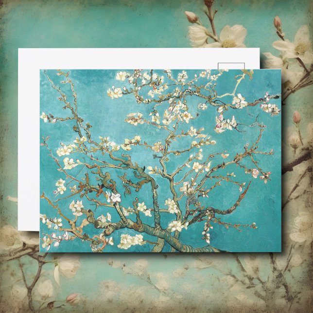 Almond blommar, Van Gogh Vykort (Skapare uppladdad)