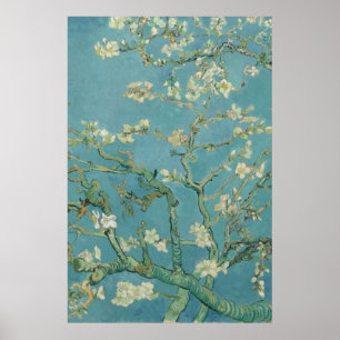 Almond Blommar Vincent van Gogh 1890 Poster
