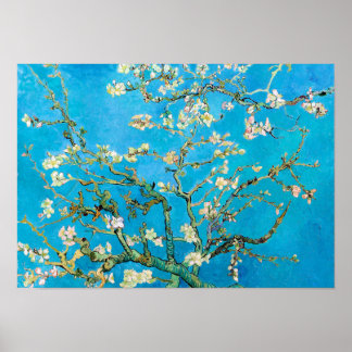 Almond Blommar Vincent Van Gogh Poster
