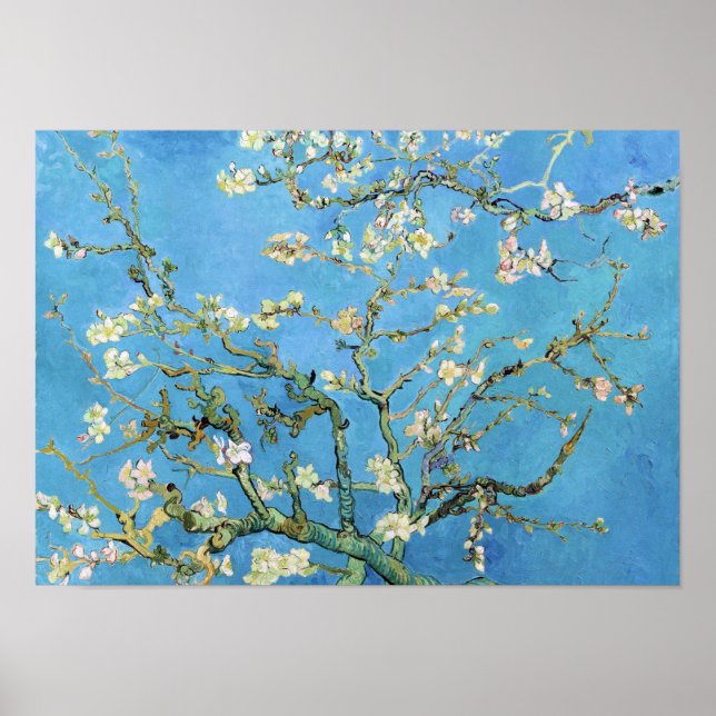 Almond Blommar Vincent Van Gogh Poster (Framsidan)