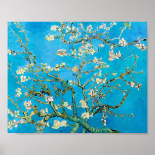 Almond Blommar Vincent Van Gogh Poster