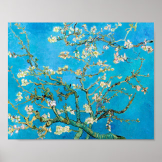 Almond Blommar Vincent Van Gogh Poster