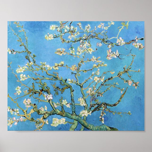 Almond Blommar Vincent Van Gogh Poster (Framsidan)