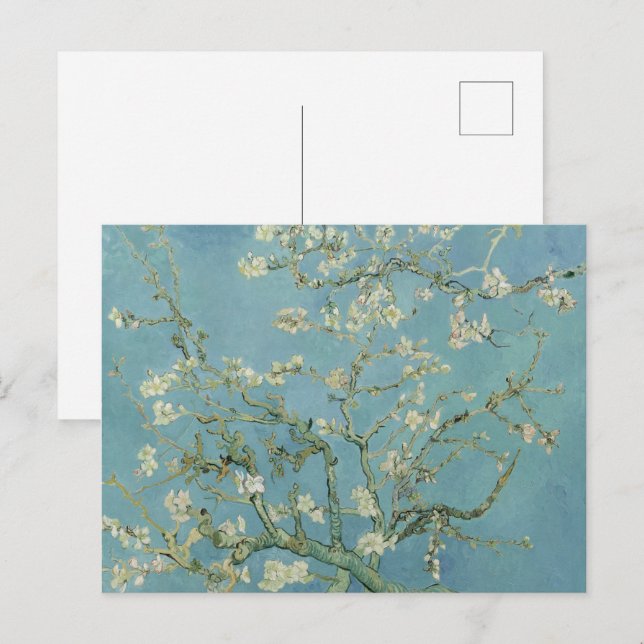Almond Blommar: Vincent Van Gogh Vykort (Fram/baksida)