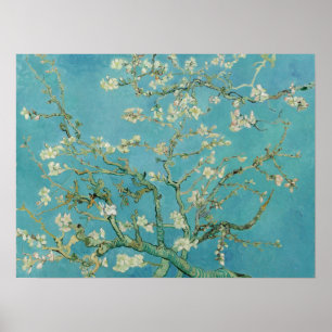 Almond Blommars av Vincent Van Gogh Fine Art Poster
