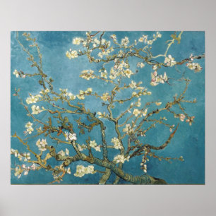 Almond Blommars av Vincent van Gogh Poster