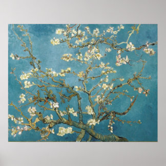 Almond Blommars av Vincent van Gogh Poster