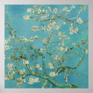 Almond Blommars av Vincent van Gogh Poster