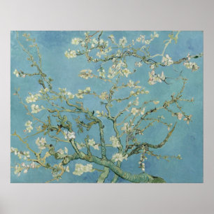 Almond Blommars av Vincent Van Gogh Poster