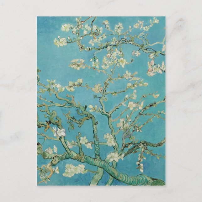 Almond Blommars av Vincent van Gogh Vykort (Framsida)