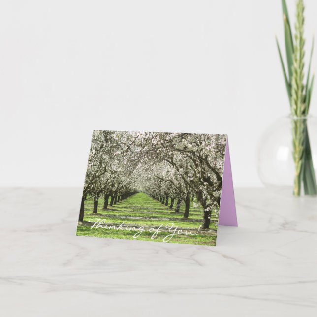 Almond Blommars Notecard Kort (Framsida)