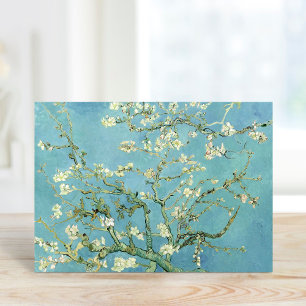 Almond Blommars   Vincent van Gogh Kort