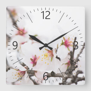 Almond blooming fyrkantig klocka