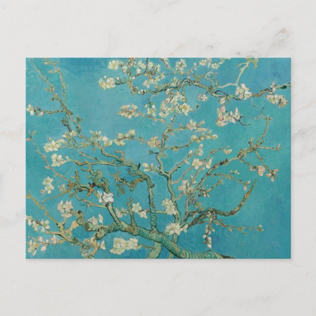 Almond Blossom, Oil Painting, Vincent Van Gogh Vykort (Framsida)