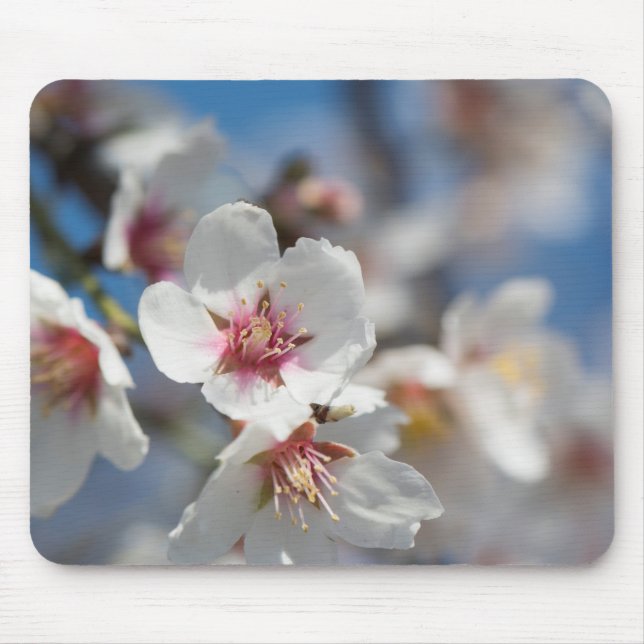 Almond blossoming musmatta (Framsidan)