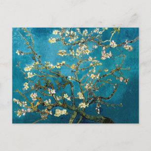 Almond Grenar i Bloom Post Card Vykort