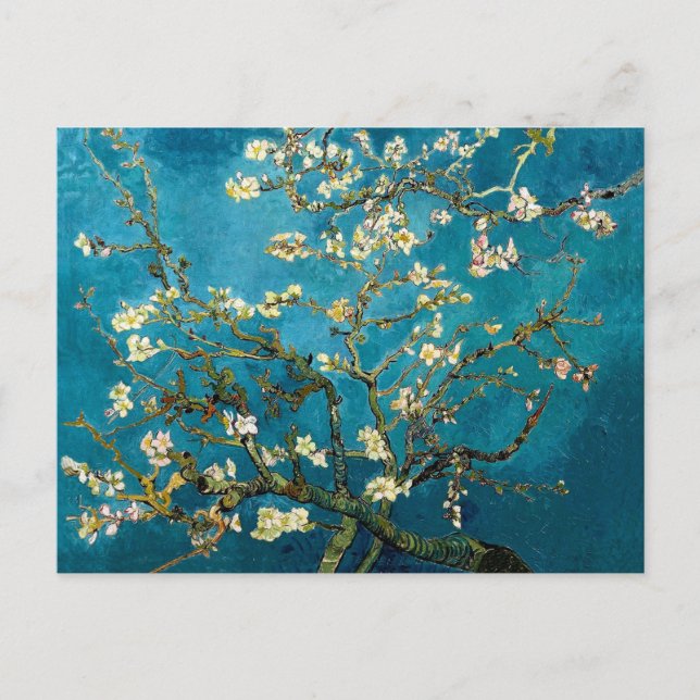Almond Grenar i Bloom Post Card Vykort (Framsida)