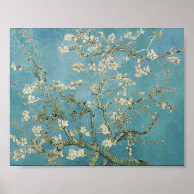 Almond träd av van gogh poster (Framsidan)