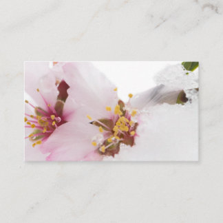 Almond tree flowers covered by snow visitkort