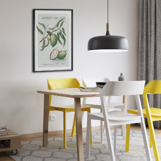 Almond, Vintage botaniskt Illustration Poster