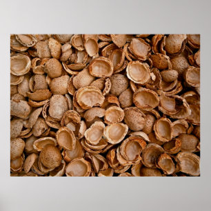 Almoner-snäckor tomma, krackade poster