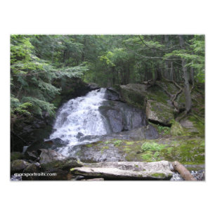 Alnedgångar Fototryck