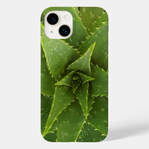 Aloe
