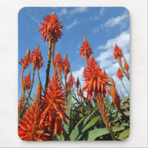 Aloe Arborescens mousepad Musmatta