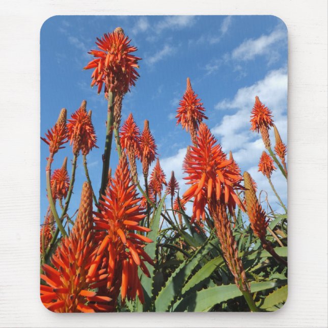 Aloe Arborescens mousepad Musmatta (Framsidan)