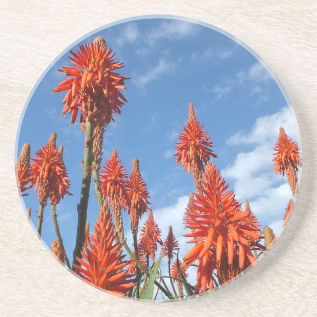 Aloe Arborescens underlägg (Framsidan)