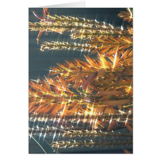 Aloe Blommar Hälsningskort (Framsidan)