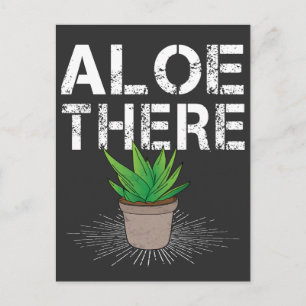 Aloe Där Cactus Succulent Plant Pun Vykort