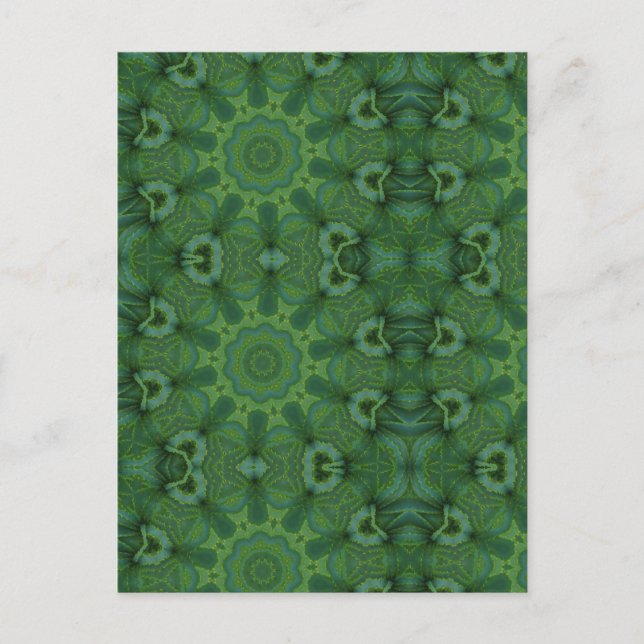 Aloe Där Vykort (Framsida)