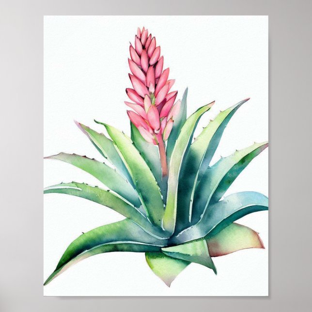 Aloe in bloom poster (Framsidan)