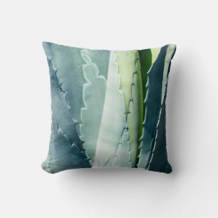 Aloe Kudde