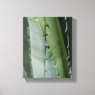 Aloe - Macro Fine Art-foto Canvastryck