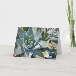 Aloe note card av Debra Lee Baldwin Kort