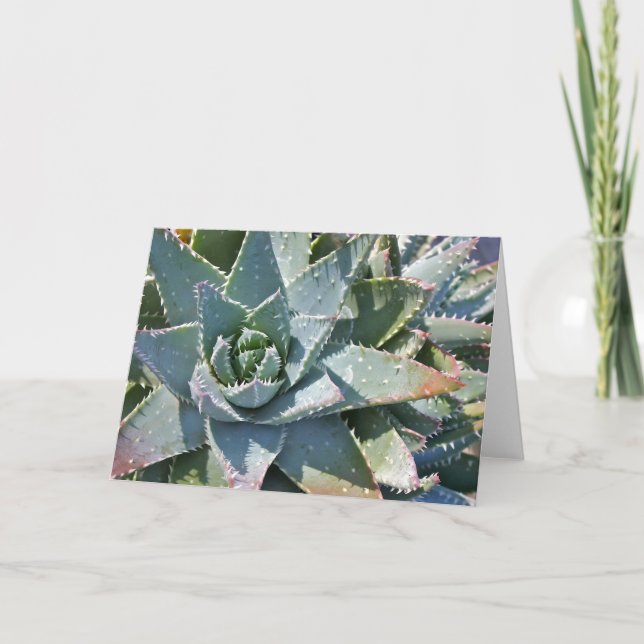 Aloe note card av Debra Lee Baldwin Kort (Framsida)