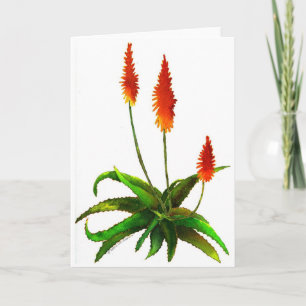 Aloe-vattenfärgskort Kort