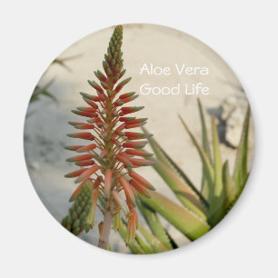 Aloe Vera-blomma Button Magnet