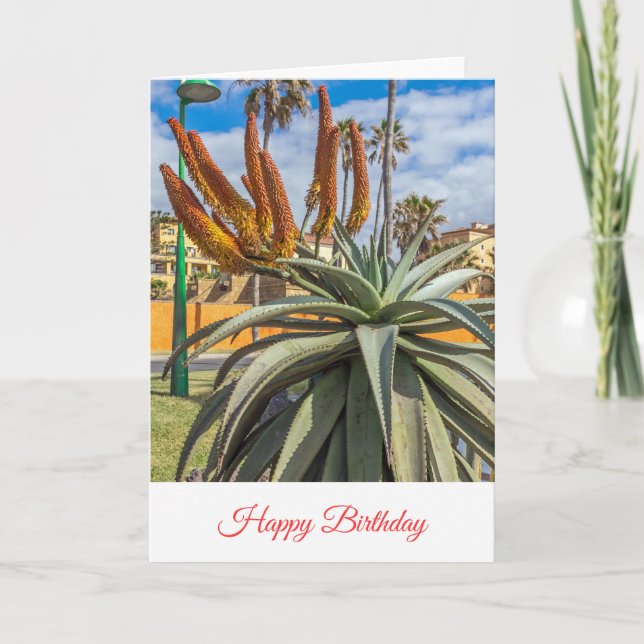 Aloe Vera blommor födelsedagskort Kort (Framsida)