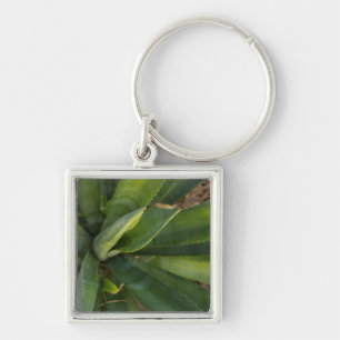 Aloe Vera Fyrkantig Silverfärgad Nyckelring